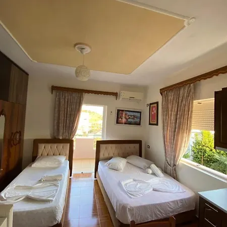 Tani Shapa * كساميل