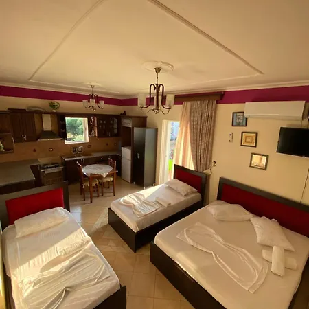 Apartmán Tani Shapa *