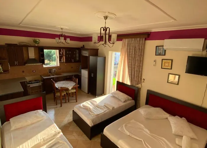 Appartamento Tani Shapa *